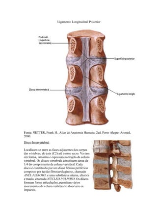 Ligamento Longitudinal Posterior
Fonte: NETTER, Frank H.. Atlas de Anatomia Humana. 2ed. Porto Alegre: Artmed,
2000.
Disco Intervertebral
Localizam-se entre as faces adjacentes dos corpos
das vértebras, do áxis (C2) até o osso sacro. Variam
em forma, tamanho e espessura no trajeto da coluna
vertebral. Os discos vertebrais constituem cerca de
1/4 do comprimento da coluna vertebral. Cada
disco é constituido por um disco fibroso periférico
composto por tecido fibrocartilaginoso, chamado
ANEL FIBROSO; e uma substância interna, elástica
e macia, chamada NÚCLEO PULPOSO. Os discos
formam fortes articulações, permitem vários
movimentos da coluna vertebral e absorvem os
impactos.
 