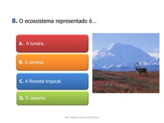 A. A tundra.
B. A savana.
C. A floresta tropical.
D. O deserto.
Prof. Helena Casanova 2010/2011
8. O ecossistema representado é…
 