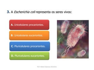 A. Unicelulares procariontes.
B. Unicelulares eucariontes.
C. Pluricelulares procariontes.
D. Pluricelulares eucariontes.
Prof. Helena Casanova 2010/2011
3. A Escherichia coli representa os seres vivos:
 