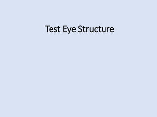 Test Eye Structure
 