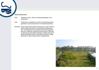 Water(schaps)netwerk

Doel:      Versterken natuur-, milieu en landschapsbelangen in het
           waterbeheer.

Inzet:     Onderhouden overlegstructuur tussen natuurbeschermingsor-
           ganisaties en groene bestuurders in het waterschapsbestuur.

Resultaat: Goed functionerende afstemmingsstructuur tussen fractie en
           bestuur Water Natuurlijk en natuurbeschermingsorganisa-
           ties. Themabijeenkomst Friese Natuurbeschermingsorgani-
           satie over onderzoek variabel peil Friese boezem. Bestuurlij-
           ke afstemming Friese Milieu Federatie en Water Natuurlijk en
           goede werkrelaties tussen Friese Milieu Federatie en Water
           Natuurlijk (en daarin deelnemende coalitiepartners).




                                                                           19
 