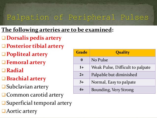 Peripheral Pulse