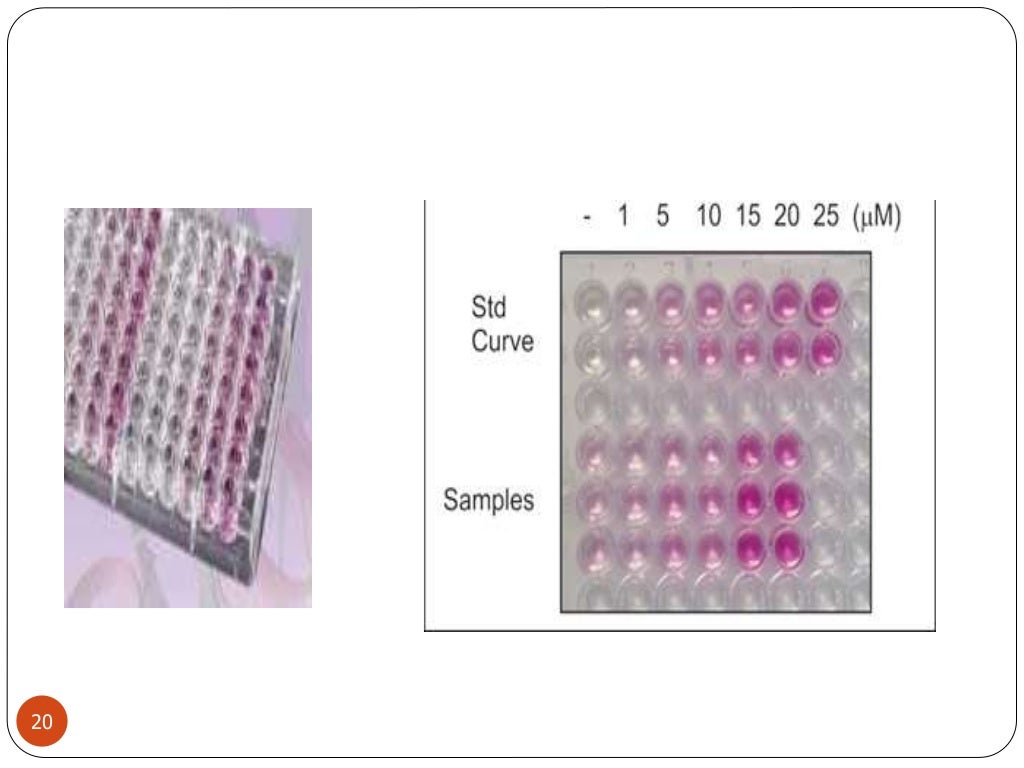 Test for protein quantification