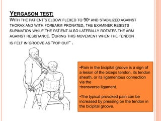YERGASON TEST:
WITH THE PATIENT’S ELBOW FLEXED TO 90º AND STABILIZED AGAINST
THORAX AND WITH FOREARM PRONATED, THE EXAMINER RESISTS
SUPINATION WHILE THE PATIENT ALSO LATERALLY ROTATES THE ARM
AGAINST RESISTANCE.   DURING THIS MOVEMENT WHEN THE TENDON
IS FELT IN GROOVE AS “POP OUT”   .



                                     •Pain in the bicipital groove is a sign of
                                     a lesion of the biceps tendon, its tendon
                                     sheath, or its ligamentous connection
                                     via the
                                     •transverse ligament.

                                     •The typical provoked pain can be
                                     increased by pressing on the tendon in
                                     the bicipital groove.
 