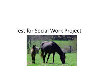 Test for Social Work Project

 