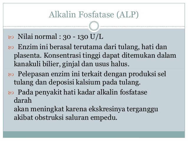 Download 44 Koleksi Gambar Fungsi Hati Meningkat Terbaru HD