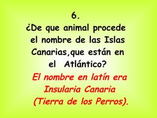 6.  ¿De que animal procede  el nombre de las Islas Canarias,que están en   el  Atlántico? El nombre en latín era  Insularia Canaria  (Tierra de los Perros). 