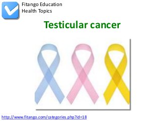 Fitango Education
          Health Topics

                     Testicular cancer




http://www.fitango.com/categories.php?id=18
 