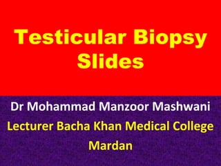 Testicular Biopsy
Slides
Dr Mohammad Manzoor Mashwani
Lecturer Bacha Khan Medical College
Mardan

 