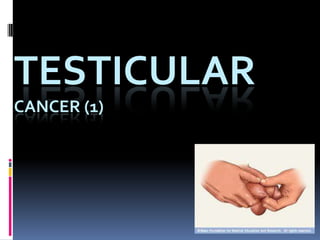 TESTICULAR
CANCER (1)
 