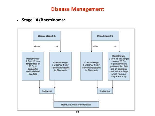 checking for testicular cancer diagram testicular cancer checking for testicular cancer diagram testicular cancer