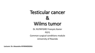 Testicular cancer
&
Wilms tumor
Dr. RUTAYISIRE François Xavier
PGY1
Common surgical conditions module
University of Rwanda
Lecturer: Dr. Alexandre NYIRIMODOKA
 