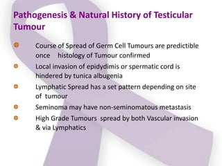 Weiss Local Invasion TESTICULAR CANCER.pptx