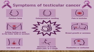 Testicular cancer.pptx