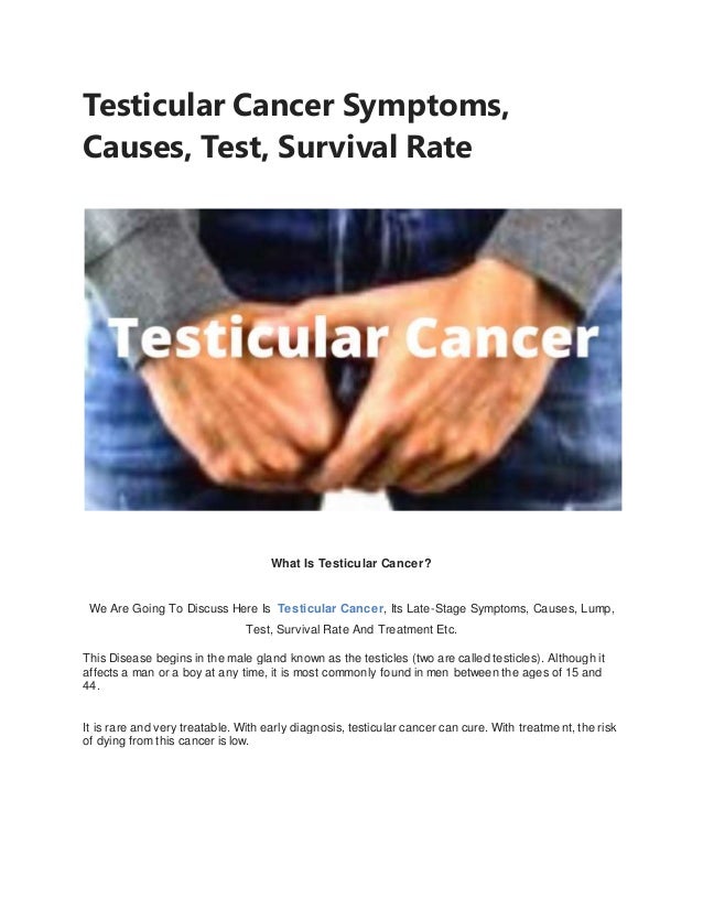Testicular cancer symptoms, causes, test, survival rate