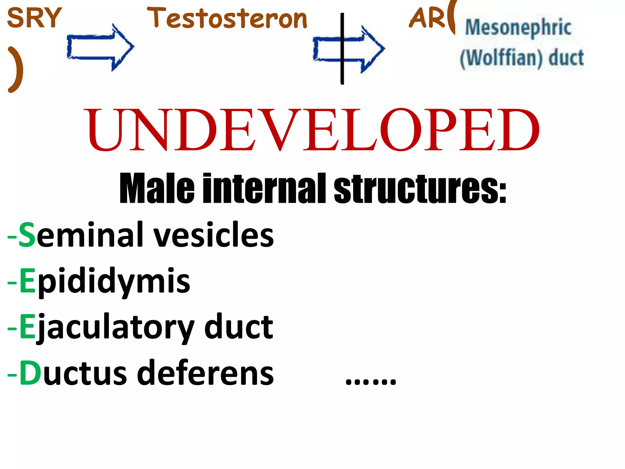 Testicular Feminization Syndrome: Celebrities You Never Knew - 6cppv9o