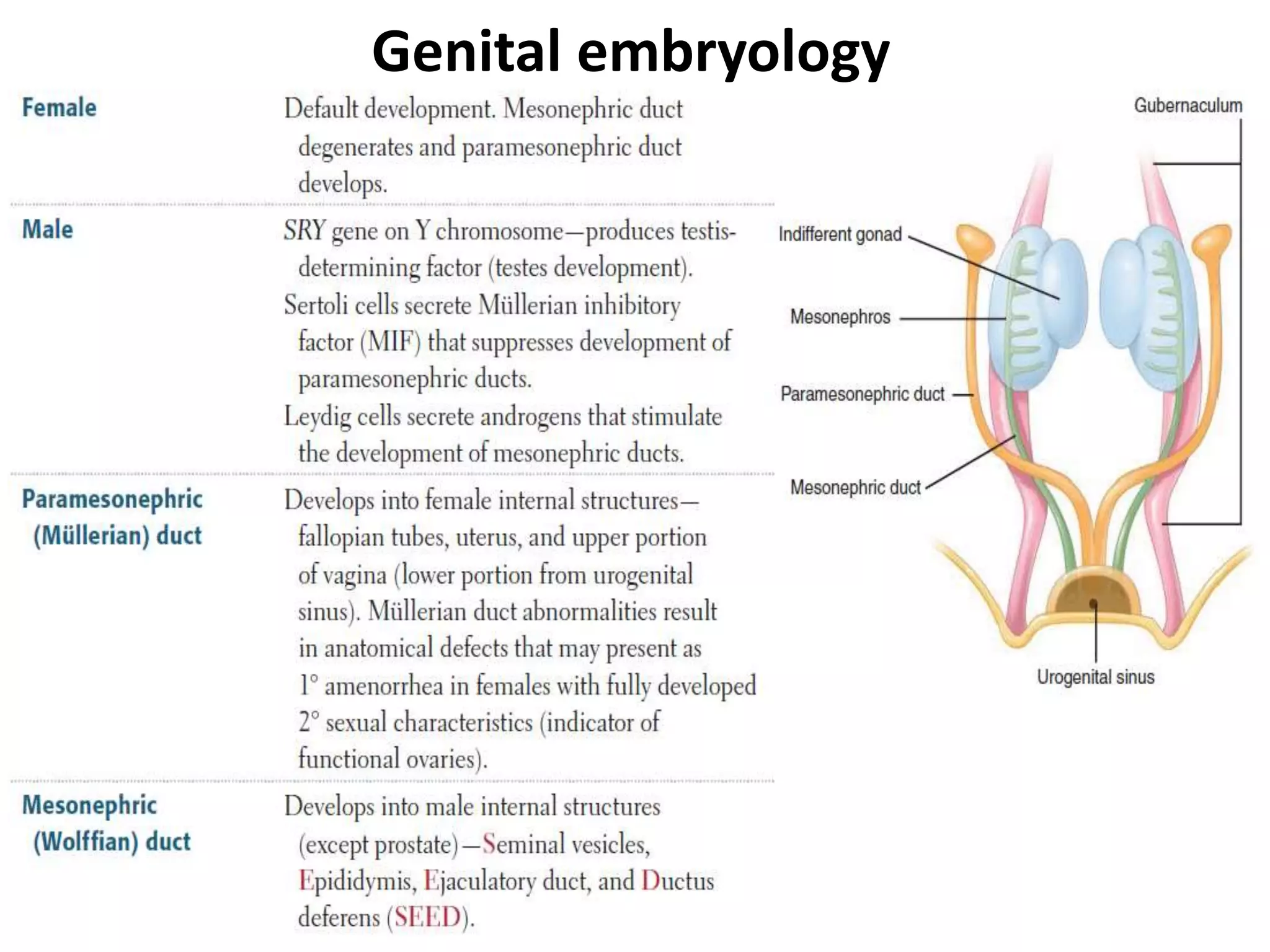 Testicular Feminization Syndrome: Celebrities You Never Knew - 1me99h3
