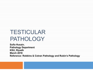 TESTICULAR
PATHOLOGY
Sufia Husain.
Pathology Department
KSU, Riyadh
March 2018
Reference: Robbins & Cotran Pathology and Rubin’s Pathology
 