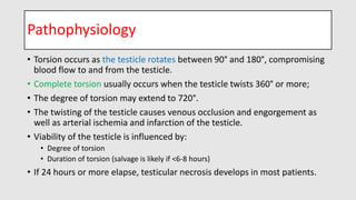 testiculartorsion-190703195435.pdf