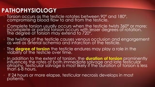 • Torsion occurs as the testicle rotates between 90° and 180°,
compromising blood flow to and from the testicle.
• Complete torsion usually occurs when the testicle twists 360° or more;
incomplete or partial torsion occurs with lesser degrees of rotation.
The degree of torsion may extend to 720°.
• The twisting of the testicle causes venous occlusion and engorgement
as well as arterial ischemia and infarction of the testicle.
• The degree of torsion the testicle endures may play a role in the
viability of the testicle over time.
• In addition to the extent of torsion, the duration of torsion prominently
influences the rates of both immediate salvage and late testicular
atrophy. Testicular salvage is most likely if the duration of torsion is less
than 6-8 hours.
• If 24 hours or more elapse, testicular necrosis develops in most
patients.
PATHOPHYSIOLOGY
 