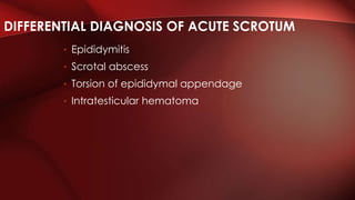 DIFFERENTIAL DIAGNOSIS OF ACUTE SCROTUM
• Epididymitis
• Scrotal abscess
• Torsion of epididymal appendage
• Intratesticular hematoma
 