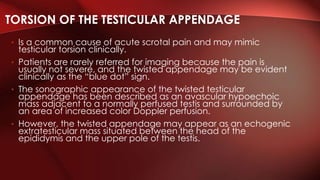 • Is a common cause of acute scrotal pain and may mimic
testicular torsion clinically.
• Patients are rarely referred for imaging because the pain is
usually not severe, and the twisted appendage may be evident
clinically as the “blue dot” sign.
• The sonographic appearance of the twisted testicular
appendage has been described as an avascular hypoechoic
mass adjacent to a normally perfused testis and surrounded by
an area of increased color Doppler perfusion.
• However, the twisted appendage may appear as an echogenic
extratesticular mass situated between the head of the
epididymis and the upper pole of the testis.
TORSION OF THE TESTICULAR APPENDAGE
 