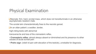 High Riding Testes Testicular Torsion (Surgical emergency) .pptx