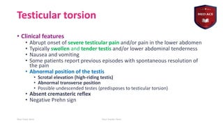 High Riding Testes Testicular torsion and epididmyitis....... | PDF
