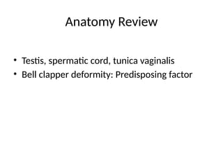 Testicular_Torsion_Dr_Mohamed_Saeed.pptx