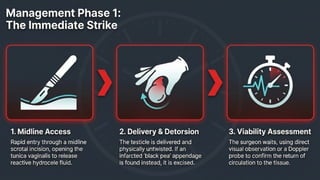 Testicular Torsion (Time is tissue).pptx