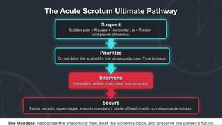 Testicular Torsion (Time is tissue).pptx