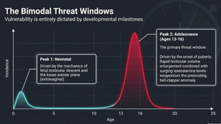 Testicular Torsion (Time is tissue).pptx