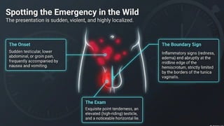 Testicular Torsion (Time is tissue).pptx