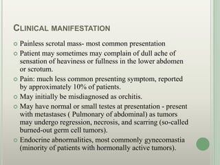 CLINICAL MANIFESTATION
 Painless scrotal mass- most common presentation
 Patient may sometimes may complain of dull ache of
sensation of heaviness or fullness in the lower abdomen
or scrotum.
 Pain: much less common presenting symptom, reported
by approximately 10% of patients.
 May initially be misdiagnosed as orchitis.
 May have normal or small testes at presentation - present
with metastases ( Pulmonary of abdominal) as tumors
may undergo regression, necrosis, and scarring (so-called
burned-out germ cell tumors).
 Endocrine abnormalities, most commonly gynecomastia
(minority of patients with hormonally active tumors).
 