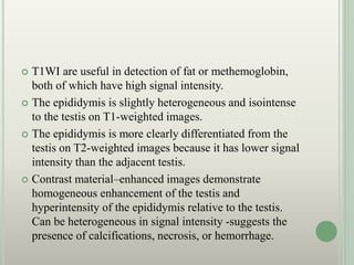  T1WI are useful in detection of fat or methemoglobin,
both of which have high signal intensity.
 The epididymis is slightly heterogeneous and isointense
to the testis on T1-weighted images.
 The epididymis is more clearly differentiated from the
testis on T2-weighted images because it has lower signal
intensity than the adjacent testis.
 Contrast material–enhanced images demonstrate
homogeneous enhancement of the testis and
hyperintensity of the epididymis relative to the testis.
Can be heterogeneous in signal intensity -suggests the
presence of calcifications, necrosis, or hemorrhage.
 
