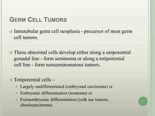 GERM CELL TUMORS
 Intratubular germ cell neoplasia - precursor of most germ
cell tumors.
 These abnormal cells develop either along a unipotential
gonadal line - form seminoma or along a totipotential
cell line - form nonseminomatous tumors.
 Totipotential cells –
 Largely undifferentiated (embryonal carcinoma) or
 Embryonic differentiation (teratoma) or
 Extraembryonic differentiation (yolk sac tumors,
choriocarcinoma).
 