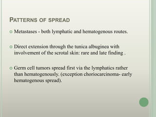 PATTERNS OF SPREAD
 Metastases - both lymphatic and hematogenous routes.
 Direct extension through the tunica albuginea with
involvement of the scrotal skin: rare and late finding .
 Germ cell tumors spread first via the lymphatics rather
than hematogenously. (exception choriocarcinoma- early
hematogenous spread).
 