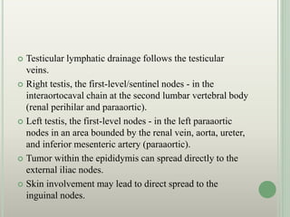  Testicular lymphatic drainage follows the testicular
veins.
 Right testis, the first-level/sentinel nodes - in the
interaortocaval chain at the second lumbar vertebral body
(renal perihilar and paraaortic).
 Left testis, the first-level nodes - in the left paraaortic
nodes in an area bounded by the renal vein, aorta, ureter,
and inferior mesenteric artery (paraaortic).
 Tumor within the epididymis can spread directly to the
external iliac nodes.
 Skin involvement may lead to direct spread to the
inguinal nodes.
 