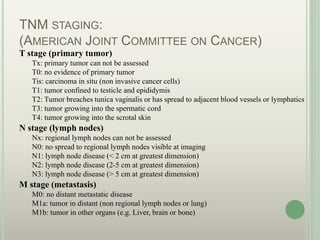 TNM STAGING:
(AMERICAN JOINT COMMITTEE ON CANCER)
T stage (primary tumor)
Tx: primary tumor can not be assessed
T0: no evidence of primary tumor
Tis: carcinoma in situ (non invasive cancer cells)
T1: tumor confined to testicle and epididymis
T2: Tumor breaches tunica vaginalis or has spread to adjacent blood vessels or lymphatics
T3: tumor growing into the spermatic cord
T4: tumor growing into the scrotal skin
N stage (lymph nodes)
Nx: regional lymph nodes can not be assessed
N0: no spread to regional lymph nodes visible at imaging
N1: lymph node disease (< 2 cm at greatest dimension)
N2: lymph node disease (2-5 cm at greatest dimension)
N3: lymph node disease (> 5 cm at greatest dimension)
M stage (metastasis)
M0: no distant metastatic disease
M1a: tumor in distant (non regional lymph nodes or lung)
M1b: tumor in other organs (e.g. Liver, brain or bone)
 