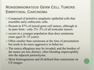NONSEMINOMATOUS GERM CELL TUMORS
EMBRYONAL CARCINOMA
 Composed of primitive anaplastic epithelial cells that
resemble early embryonic cells.
 Present in 87% of mixed germ cell tumors, although in
its pure form - only 2%–3% of all testicular tumors.
 occurs in a younger population than does seminoma
(men aged 25–35 years).
 Often smaller than seminoma at the time of presentation
but tends to be more aggressive in behavior.
 The tunica albuginea may be invaded, and the borders of
the tumor are less distinct, often blending imperceptibly
into the adjacent parenchyma.
 More heterogeneous and ill-defined than seminomas on
US images.
 