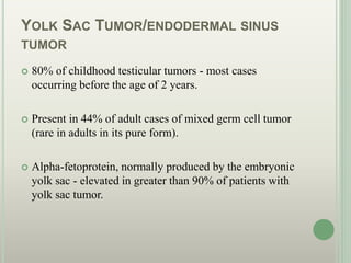 YOLK SAC TUMOR/ENDODERMAL SINUS
TUMOR
 80% of childhood testicular tumors - most cases
occurring before the age of 2 years.
 Present in 44% of adult cases of mixed germ cell tumor
(rare in adults in its pure form).
 Alpha-fetoprotein, normally produced by the embryonic
yolk sac - elevated in greater than 90% of patients with
yolk sac tumor.
 