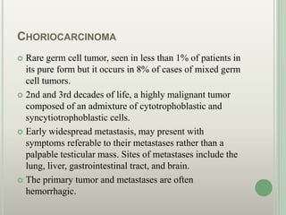 CHORIOCARCINOMA
 Rare germ cell tumor, seen in less than 1% of patients in
its pure form but it occurs in 8% of cases of mixed germ
cell tumors.
 2nd and 3rd decades of life, a highly malignant tumor
composed of an admixture of cytotrophoblastic and
syncytiotrophoblastic cells.
 Early widespread metastasis, may present with
symptoms referable to their metastases rather than a
palpable testicular mass. Sites of metastases include the
lung, liver, gastrointestinal tract, and brain.
 The primary tumor and metastases are often
hemorrhagic.
 