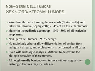 NON–GERM CELL TUMORS
SEX CORD/STROMALTUMORS:
 arise from the cells forming the sex cords (Sertoli cells) and
interstitial stroma (Leydig cells) - ~4% of all testicular tumors.
 higher in the pediatric age group - 10%– 30% of all testicular
neoplasms.
 Non–germ cell tumors – 90 % benign.
 No radiologic criteria allow differentiation of benign from
malignant disease, and orchiectomy is performed in all cases.
 Even with histologic analysis - difficult to determine the
biologic behavior of these tumors.
 Although usually benign, even tumors without aggressive
histologic features may metastasize.
 