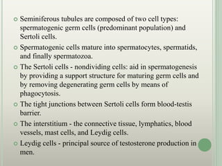  Seminiferous tubules are composed of two cell types:
spermatogenic germ cells (predominant population) and
Sertoli cells.
 Spermatogenic cells mature into spermatocytes, spermatids,
and finally spermatozoa.
 The Sertoli cells - nondividing cells: aid in spermatogenesis
by providing a support structure for maturing germ cells and
by removing degenerating germ cells by means of
phagocytosis.
 The tight junctions between Sertoli cells form blood-testis
barrier.
 The interstitium - the connective tissue, lymphatics, blood
vessels, mast cells, and Leydig cells.
 Leydig cells - principal source of testosterone production in
men.
 