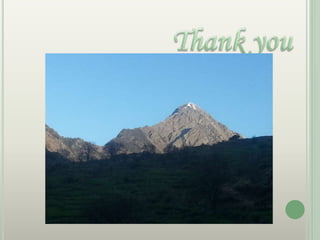 Testicular tumor imaging 