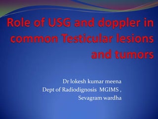 Dr lokesh kumar meena
Dept of Radiodignosis MGIMS ,
              Sevagram wardha
 