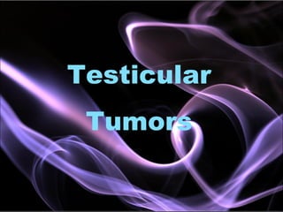 Testicular
Tumors
 