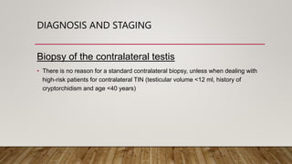 Testicular Tumors.pptx
