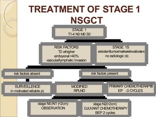 Testicular Tumors Seminar/presentation.pptx