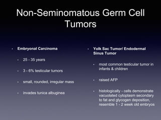 Testicular Tumors.pptx by Dr Dr Dr Dr Dr | PPTX